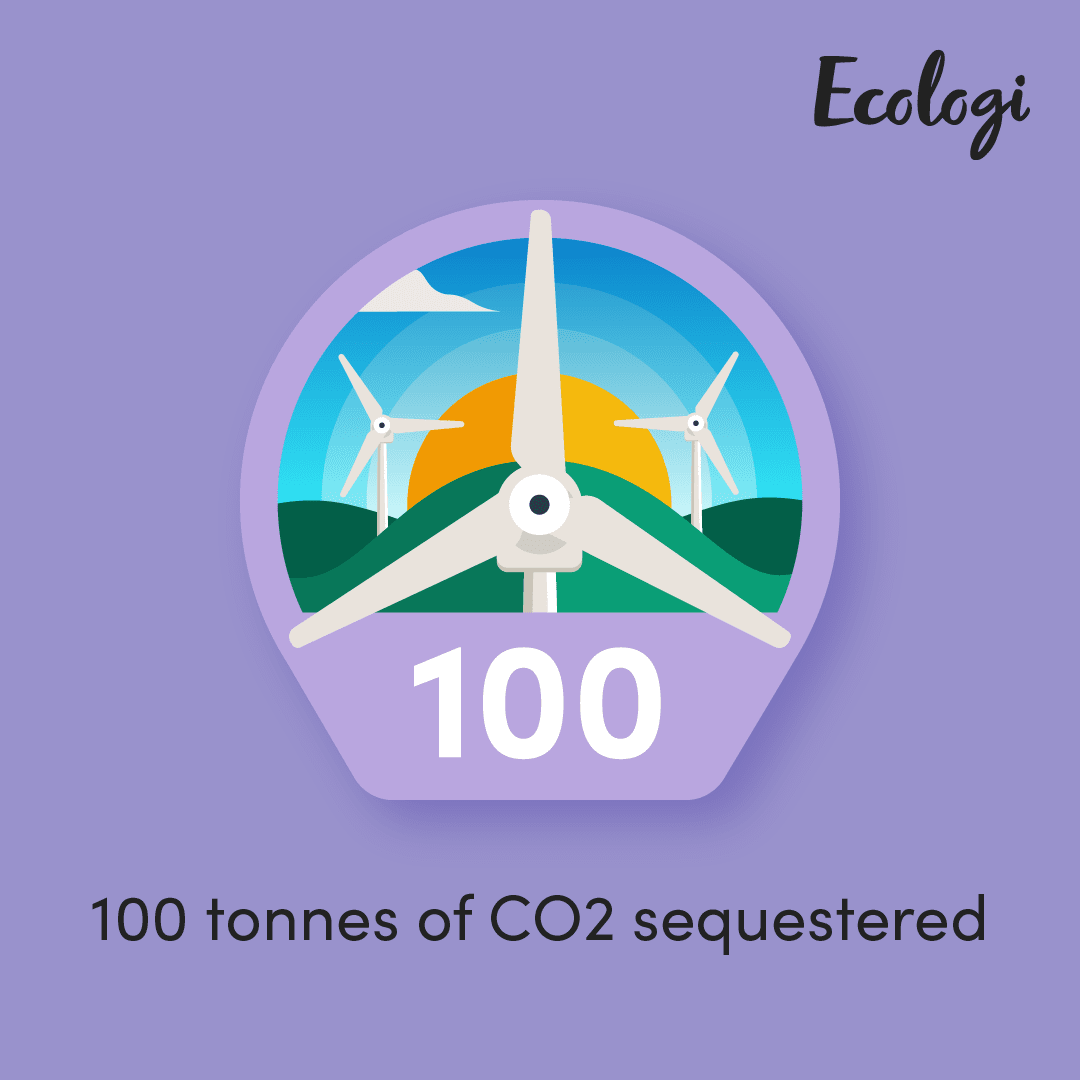 carbon offset 100 tonnes