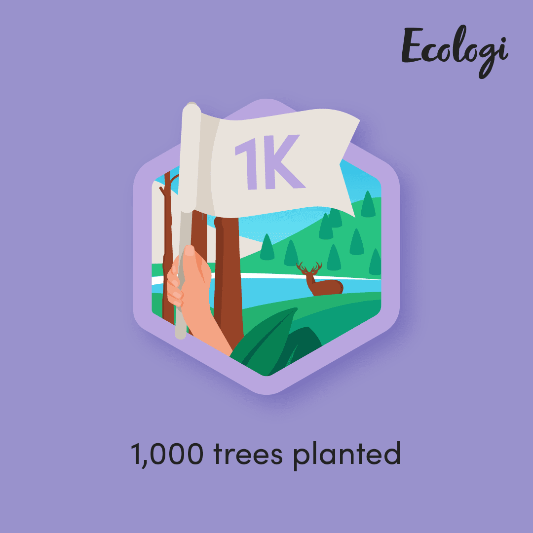 planted over 1000 trees