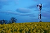 rural telecommunications tower
