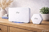 sky wifi max: max hub & max pod illustration