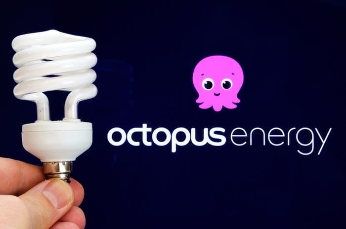 octopus energy with lightbulb