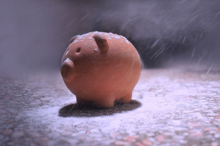 piggy bank lost out in cold