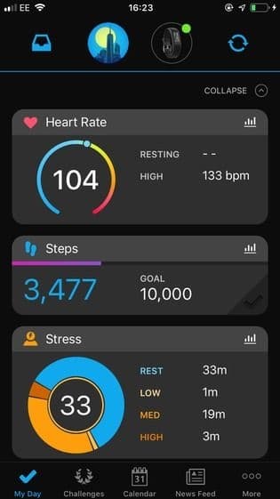 Garmin steps